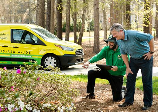 Two Mosquito Joe professionals inspecting home property.