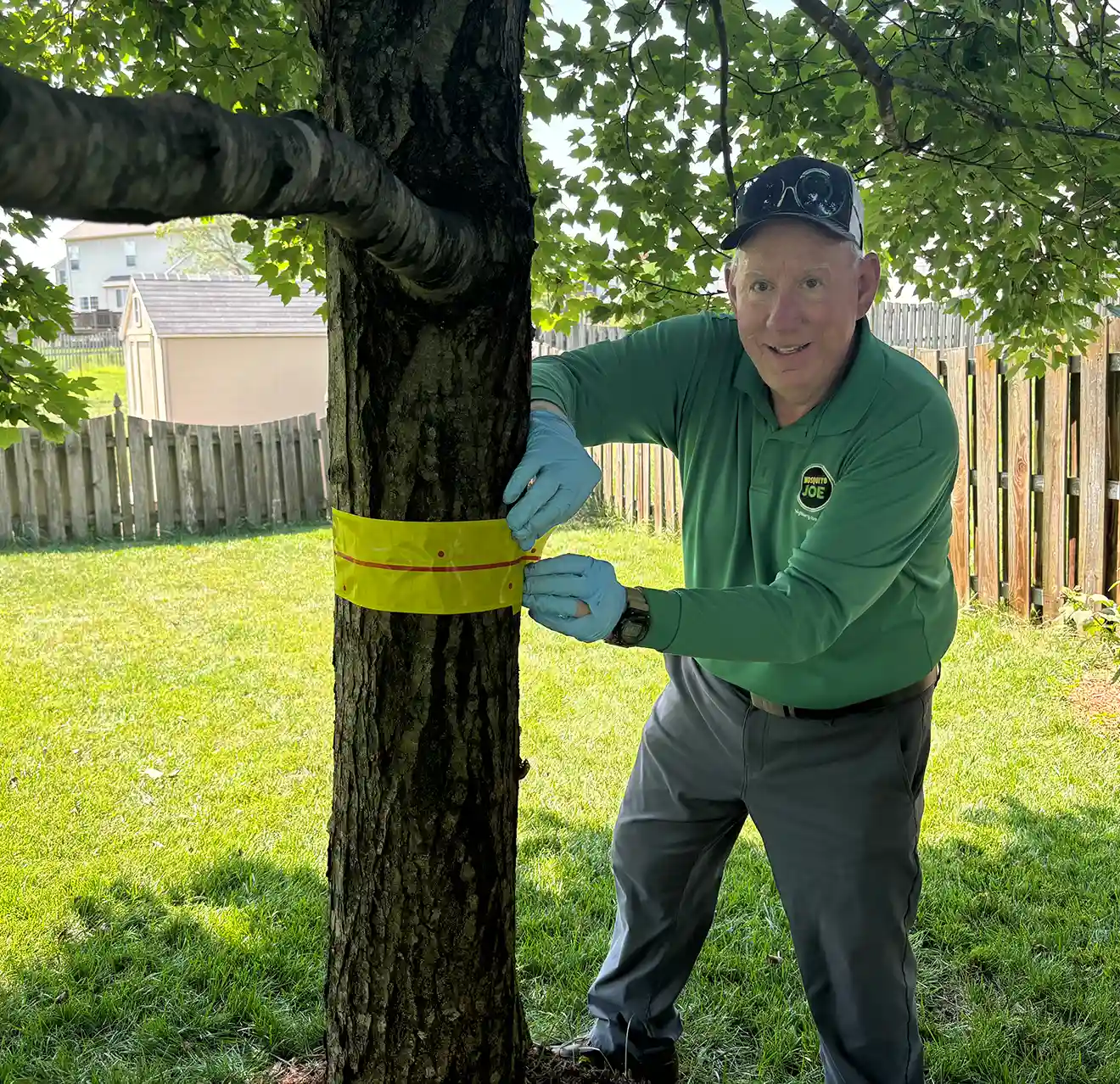 Picture of a Mosquito Joe employee working to treat a tree infested with spotted lanternflys.