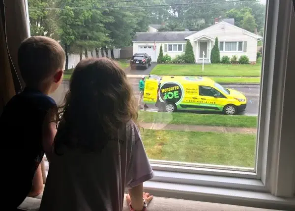 Kids looking out the window at a Mojo van.