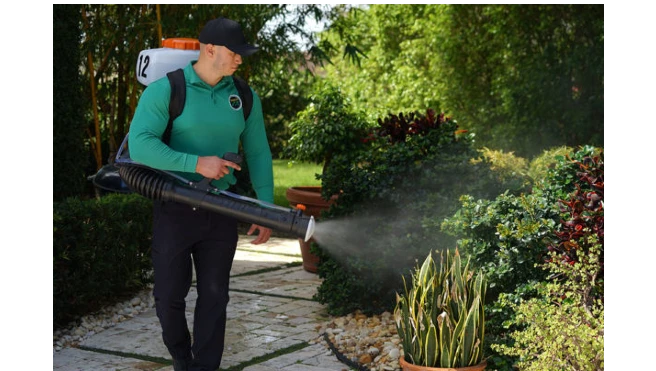 Mosquito Joe technician spraying a customer's yard.