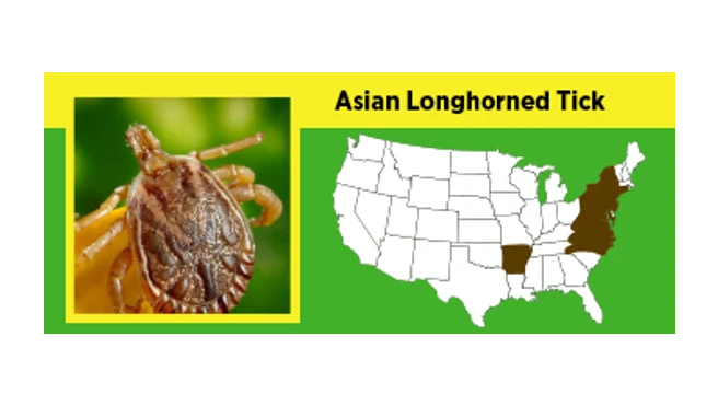 A map of where asian longhorn ticks are prevalent in the US.