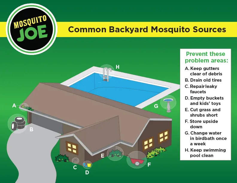 Chart of common backyard problems.