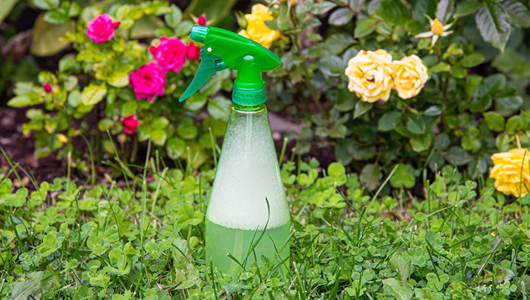 A spray bottle in front of flowers.