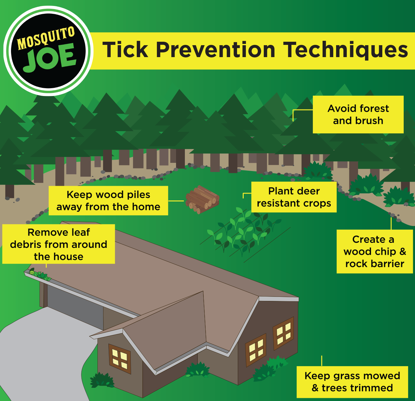 An illustration describing tick prevention in and around the household.