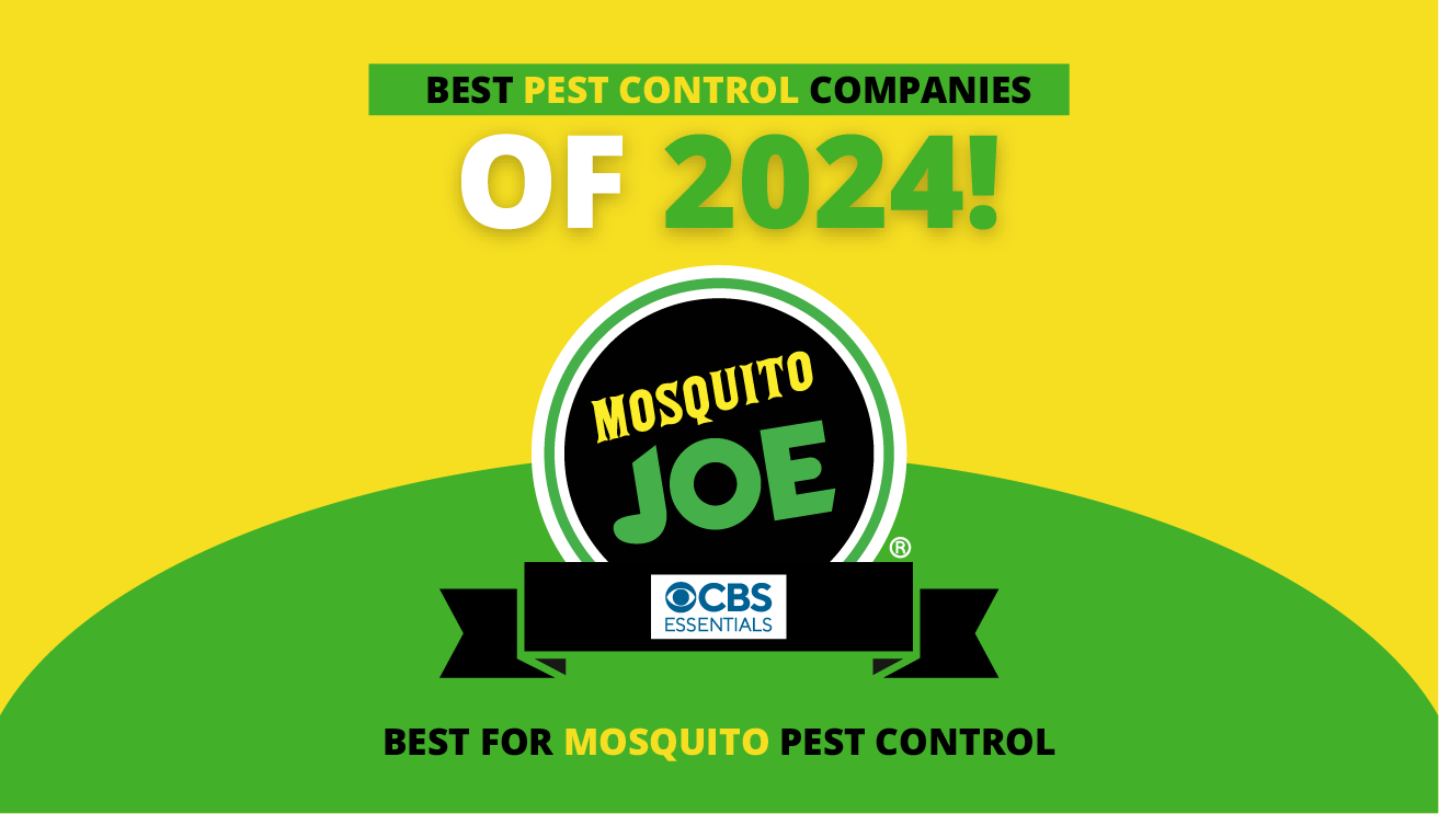 Best Mosquito Pest Control company of 2024 by CBS Essentials.