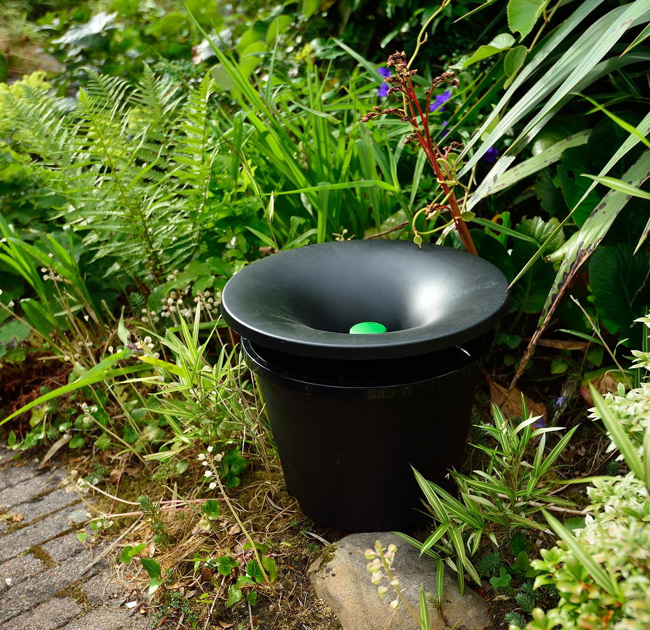 Pot with a mosquito trap in it.