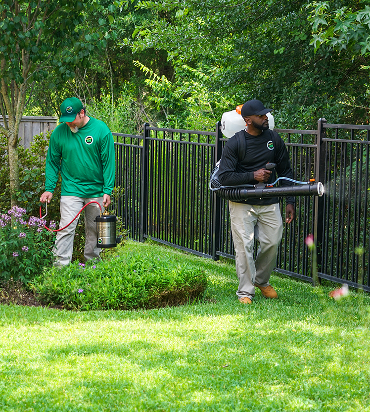 Two Mosquito Joe professionals spraying yard.