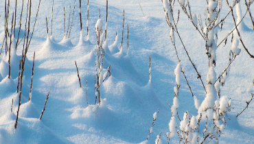 A snow covered field.