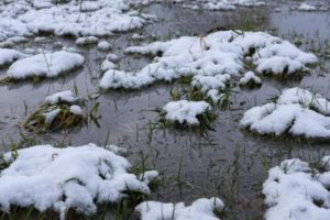 A field blanketed in snow.