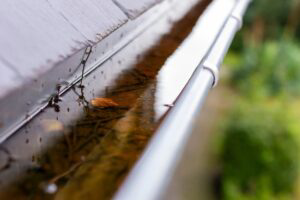 Breeding ground for mosquitos in full roof gutter.