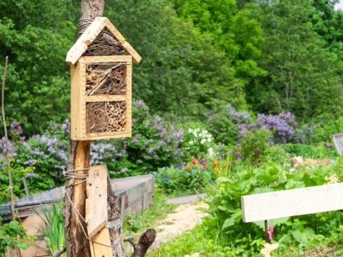 Close up of a pollinator bug hotel.