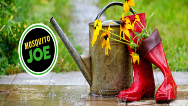 Watering can with red rain boots containing yellow daisies outside while it rains.