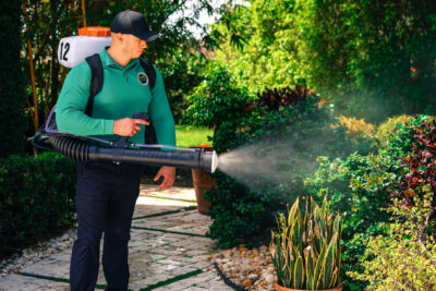 A moj technician using a garden sprayer to apply water or chemicals to plants.