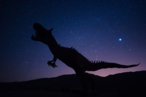 Silhouette of a T-rex against a starry night sky.