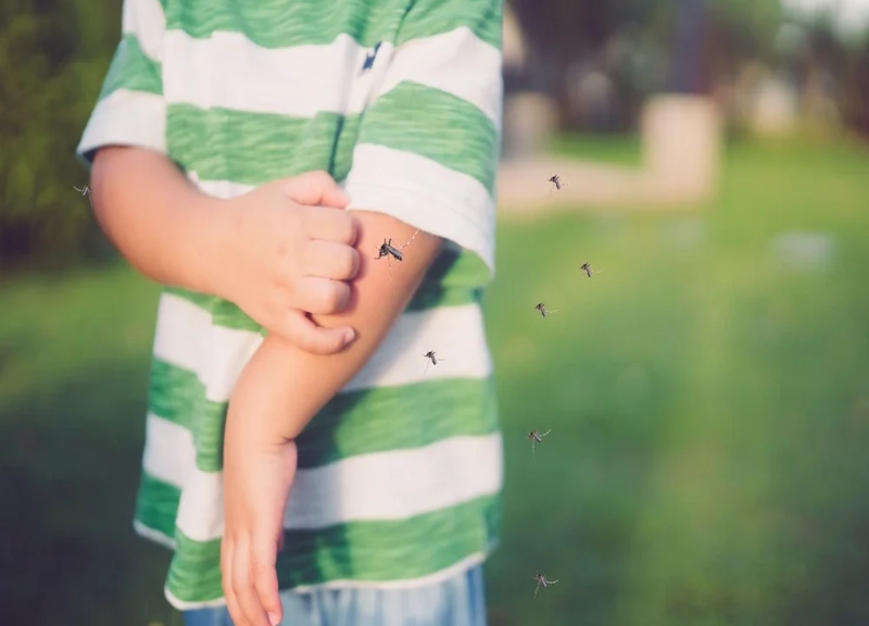 Child scratching forearm after being bitten by a mosquito outside.