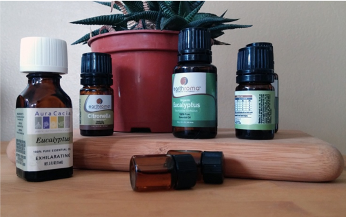 Essential oils in elegant bottles on a countertop.