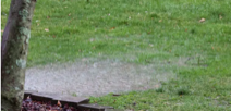 Yard with rain puddle.