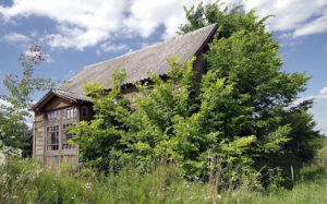 A house surrounded by trees.