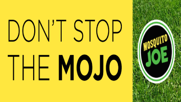 A banner displaying Don't Stop the Mojo.