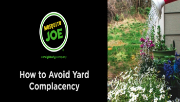 Banner displaying How to Avoid Yard Complacency.