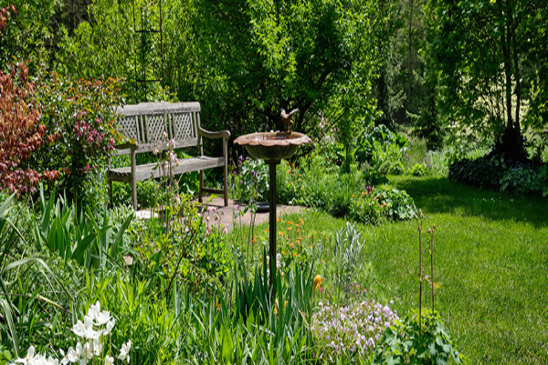 Bird bath in a pleasant outdoor garden with a bench.