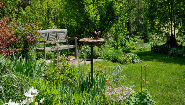 Bird bath in a pleasant outdoor garden with a bench.