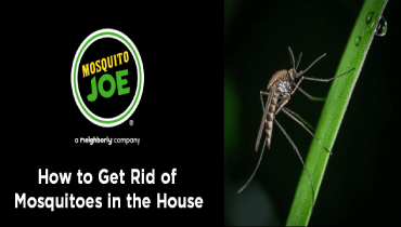 A banner displaying how to get rid of mosquitoes in the house.