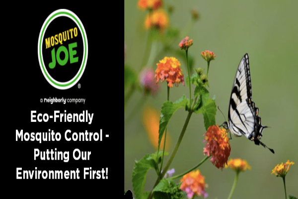 Logo of Mosquito Joe with text "Eco-Friendly Mosquito Control" beside butterfly on flowers.