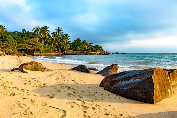 Sandy beach with palm trees and rocks.