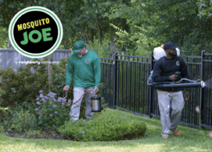 Mosquito joe technicians performing pest control in a residential garden.