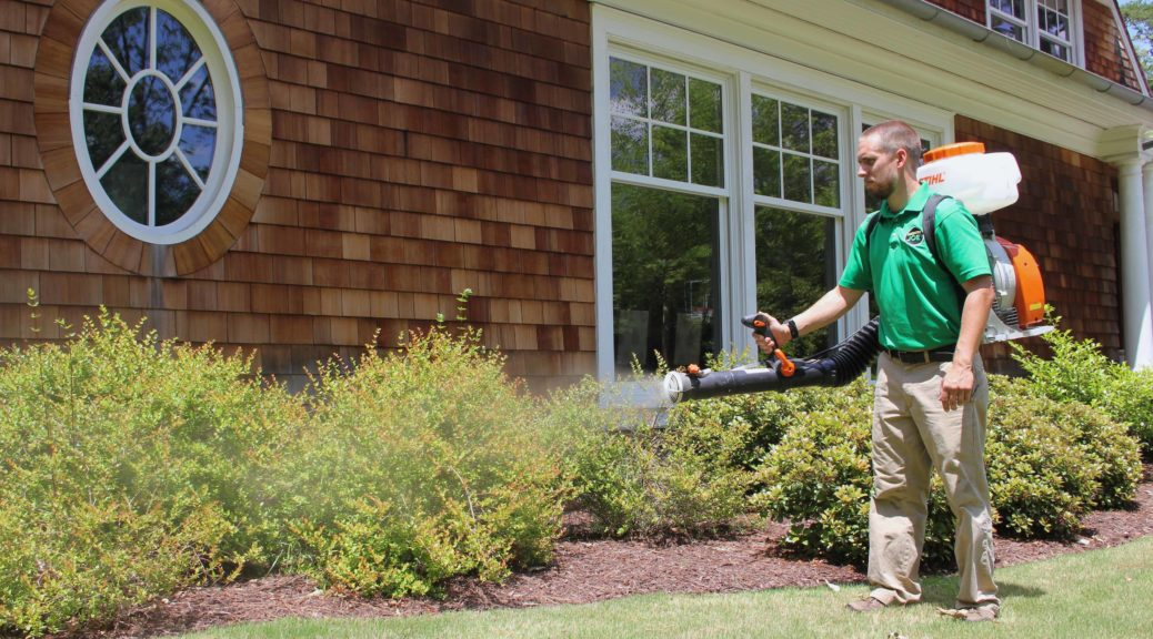 A man in a green shirt sprays plants with a sprayer.