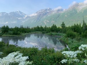 A serene mountain landscape with a reflective pond surrounded by lush greenery and wildflowers.