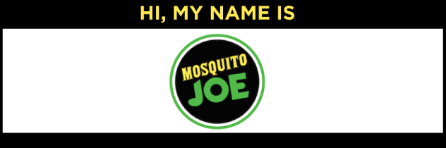 Blog featured image of Mosquito Joe.