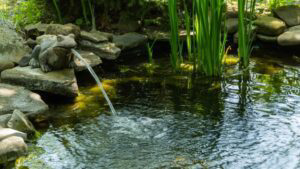 Outdoor pond with frog fountain.