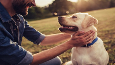 A man petting his labrador fondly outside.