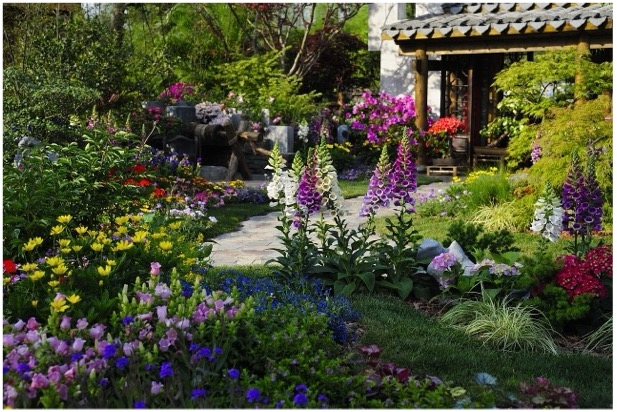 Garden with a lot of different colored flowering plants. 