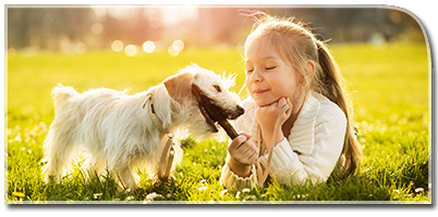 A young girl lying on grass smiles at a small white dog holding a stick.