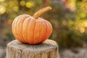 Pumpkin on tree stump.