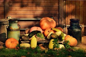 Pumpkins and squashes.