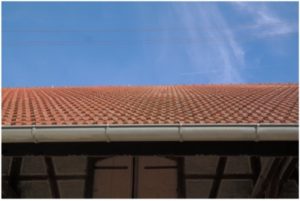 Roof and gutters of a home.