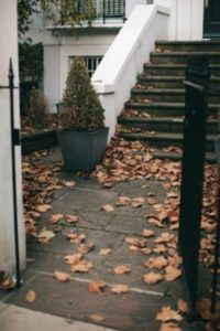 Stairs with leaves.