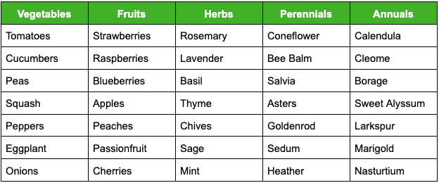 Table of plants attracted by bees.