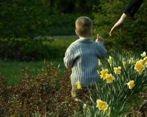 Toddler reaching out to an adult's hand in a garden with yellow flowers.