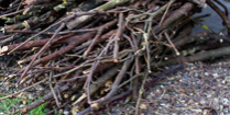 A bundle of twigs.