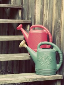 Two watering cans on wooden steps.