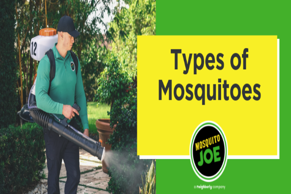 A person spraying garden, with text "Types of Mosquitoes" and Mosquito Joe logo.