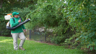 Mojo worker spraying in the yard.