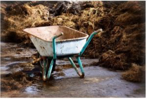 Old wheel barrel.