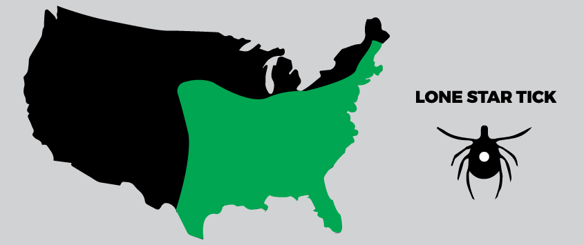 Map image of where to find lone star ticks.