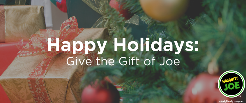 Post of Happy Holidays: Give the Gift of Joe.